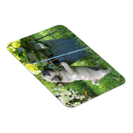 Mops und Blume Magnet (Rechte Seite)