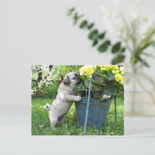 Mops und Blume Postkarte (Stehend Vorderseite)