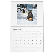 Mops- und Boston-Terrier-Kalender Kalender (Feb 2027)