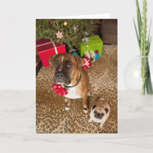 Mops und Boxer, die vor Weihnachtsbaum sitzen Feiertagskarte
