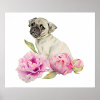 Mops und Peonies | Aquarellbilder
