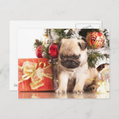 Mops und Weihnachtsgeschenke Feiertagspostkarte (Vorne/Hinten)