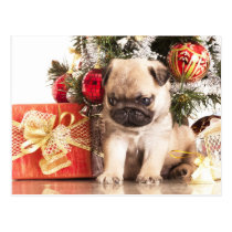 Mops- und Weihnachtsgeschenke Postkarten