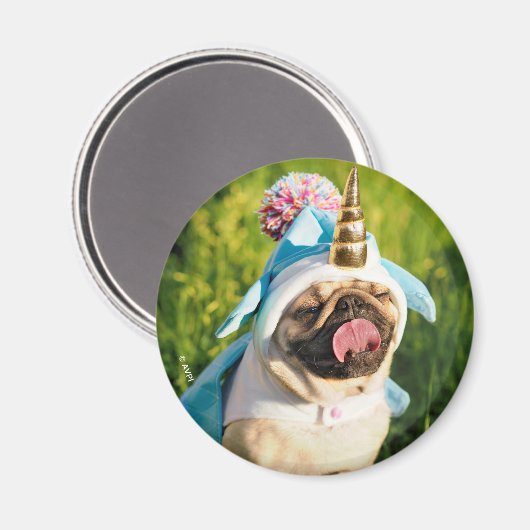 Mops Unicorn Magnet (Vorderseite/Rückseite)