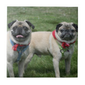 Mops verfolgt Keramikfliese (Vorderseite)