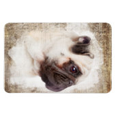 Mops Vintag Portrait Magnet (Horizontal)