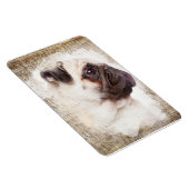Mops Vintag Portrait Magnet (Rechte Seite)