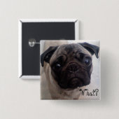 Mops was? button (Vorne & Hinten)