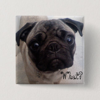 Mops was? button