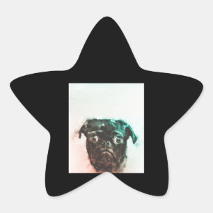 Mops Watercolor Niedlicher Mops Dog Art Aquarell Stern-Aufkleber