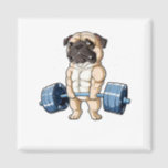 Mops Weightlift Funny Deadlift Fitness Männer Magnet<br><div class="desc">Hunde,  Haustier,  Welpen,  Hunde,  Weihnachtssocken,  Lichter,  Santa Claus,  Tier,  wild</div>