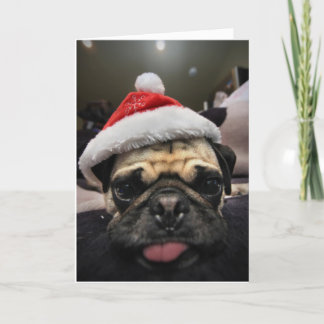 Mops Weihnachten