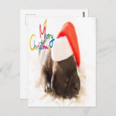 Mops Weihnachten Postkarte (Vorne/Hinten)
