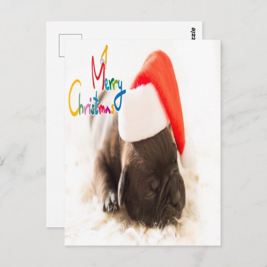 Mops Weihnachten Postkarte (Vorne/Hinten)