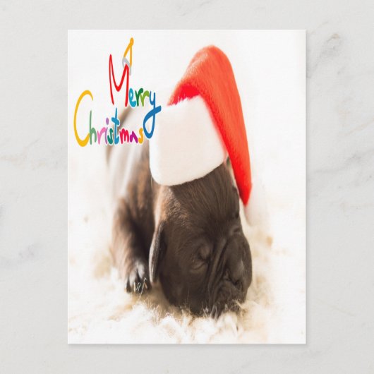Mops Weihnachten Postkarte (Vorderseite)