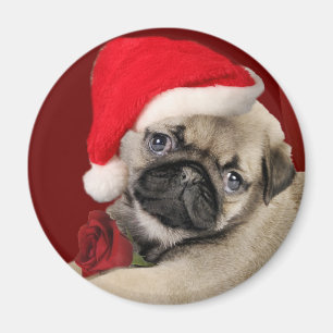 Mops-Weihnachtsfeiertags-Magneten Magnet