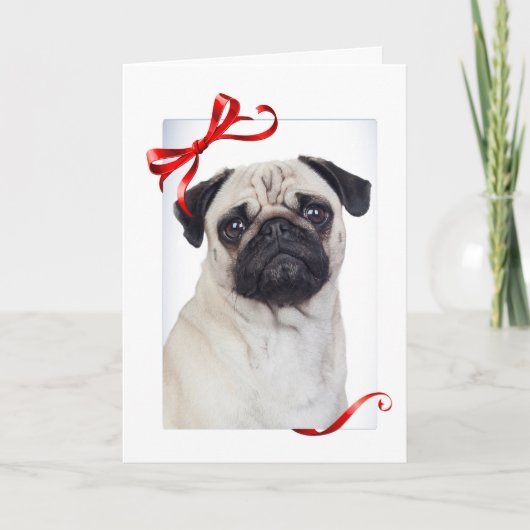 Mops Weihnachtskarte Feiertagskarte (Vorderseite)