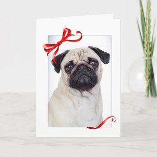 Mops Weihnachtskarte Feiertagskarte