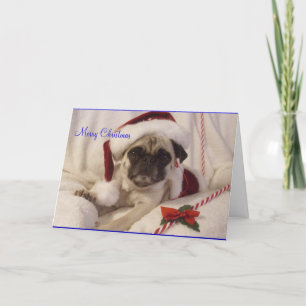 Mops Weihnachtskarte Feiertagskarte