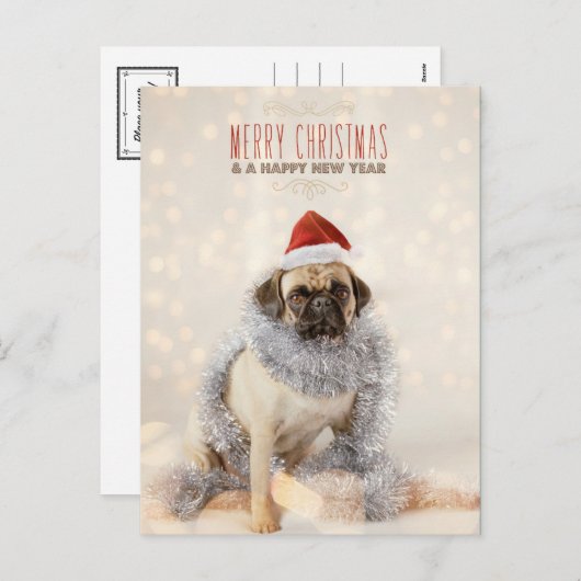 Mops-Weihnachtskarte Feiertagspostkarte (Vorne/Hinten)