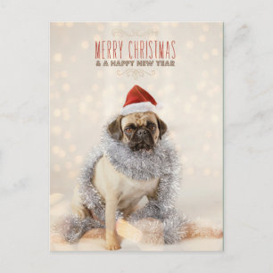 Mops-Weihnachtskarte Feiertagspostkarte