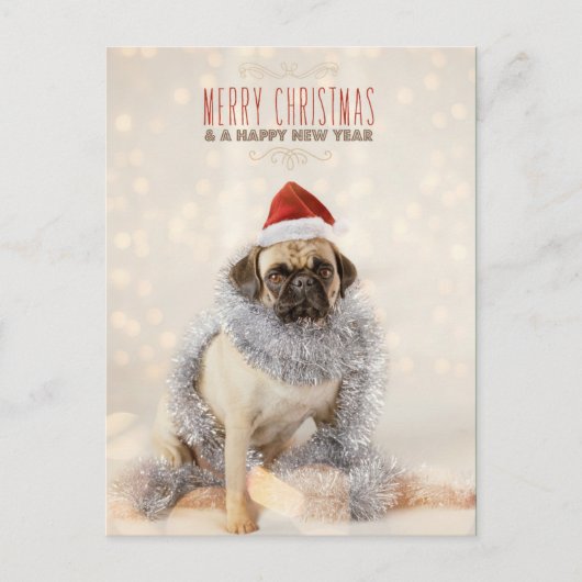 Mops-Weihnachtskarte Feiertagspostkarte (Vorderseite)