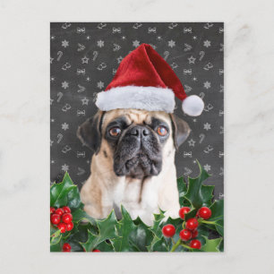 Mops Weihnachtskarte Feiertagspostkarte