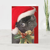 Mops Weihnachtskarten Feiertagskarte (Vorderseite)
