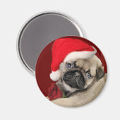 Mops Weihnachtsmagnete Magnet (Vorderseite/Rückseite)