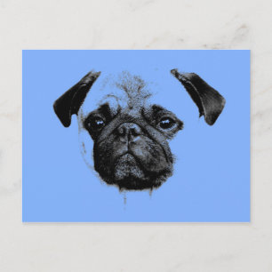 Mops Welpe Babyblau Postkarte