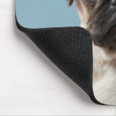 Mops Welpe gegen blauen Hintergrund Mousepad (Ecke)