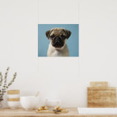 Mops Welpe gegen blauen Hintergrund Poster (Küche)
