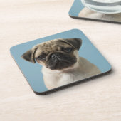 Mops-Welpe gegen blauen Hintergrund Untersetzer (Linke Seite)