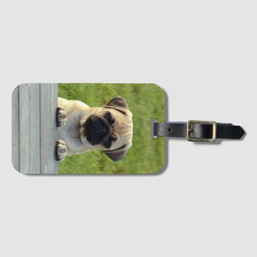 Mops-Welpe Gepäckanhänger (Vorderseite (Horizontal))
