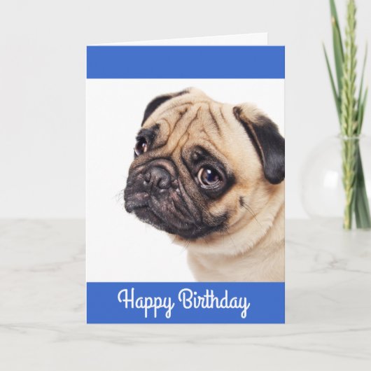 Mops Welpe Happy Birthday Card - Verse drinnen Karte (Vorderseite)