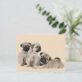 Mops Welpe Hunde Postkarte (Stehend Vorderseite)