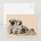 Mops Welpe Hunde Postkarte (Vorne/Hinten)