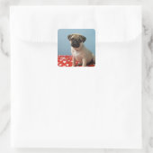 Mops Welpe im Bett Quadratischer Aufkleber (Tasche)