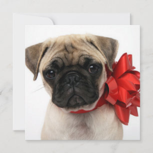 Mops Welpe in einem Weihnachtsbow ummantelt Feiertagskarte