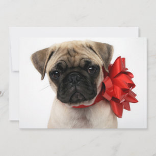 Mops Welpe in einem Weihnachtsbow ummantelt Feiertagskarte