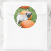 Mops-Welpe in Kürbiskürbiskleber Runder Aufkleber (Tasche)