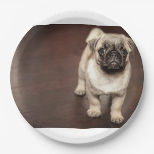 Mops-Welpe in Sepia Pappteller