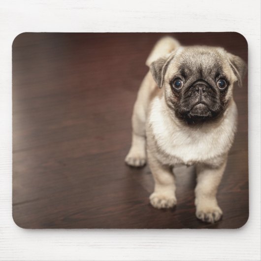 Mops-Welpe Mousepad (Vorne)