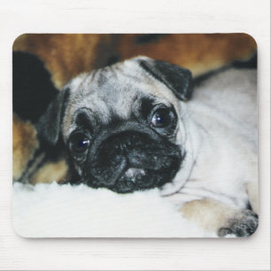Mops-Welpe Mousepad