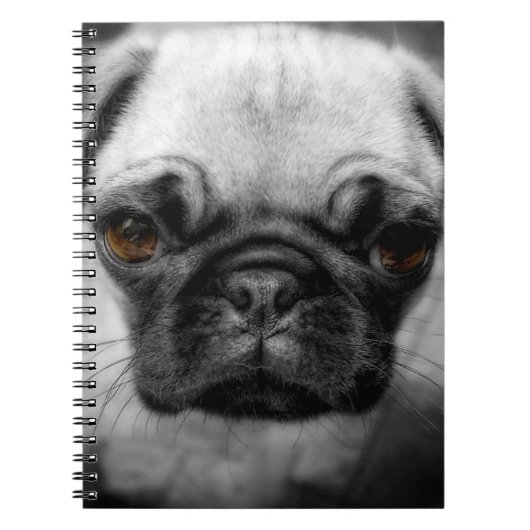 Mops-Welpe Notizblock (Vorderseite)