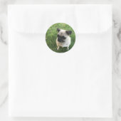 Mops-Welpe Runder Aufkleber (Tasche)