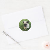 Mops-Welpe Runder Aufkleber (Umschlag)