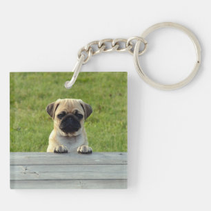 Mops Welpe Schlüsselanhänger