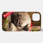 Mops Welpe und Geschenkboxen Case-Mate iPhone Hülle (Rückseite (Horizontal))