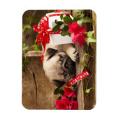 Mops Welpe und Geschenkboxen Magnet (Vertikal)